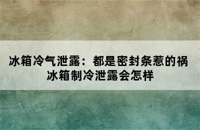 冰箱冷气泄露：都是密封条惹的祸 冰箱制冷泄露会怎样